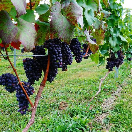 Winery Hotel And Condominium Hitohana NakaNakafurano Εξωτερικό φωτογραφία