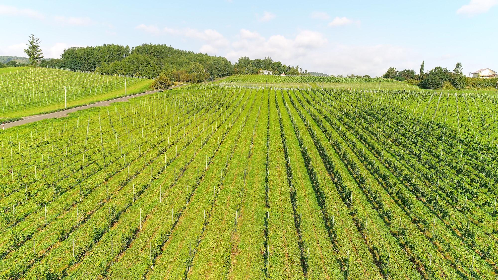 Winery Hotel And Condominium Hitohana NakaNakafurano Εξωτερικό φωτογραφία